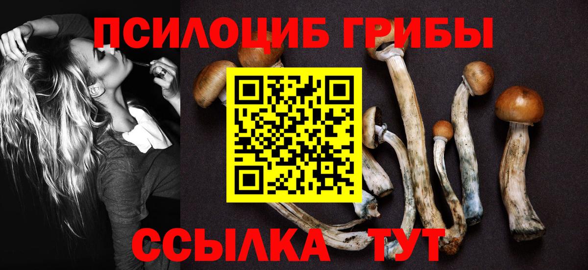 Галлюциногенные грибы прущие грибы Узловая